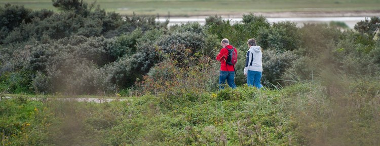 Cadzand stel wandelen