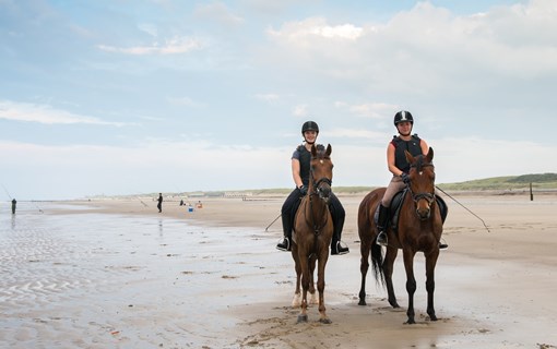 Paardrijden in Zeeland | Zeeland.com