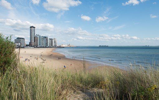 Duinen flats strand