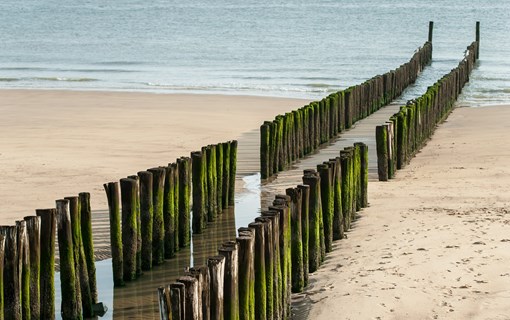 Strand palen zee