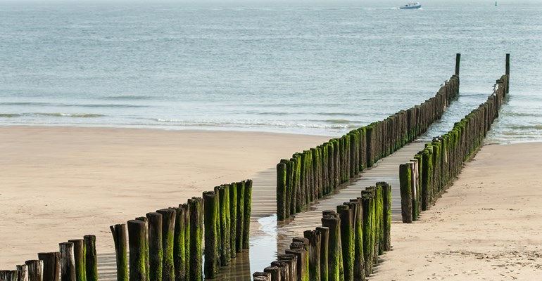 Bekijk live via de webcams de Zeeuwse stranden en geniet mee van achter je scherm van een stukje Zeeland