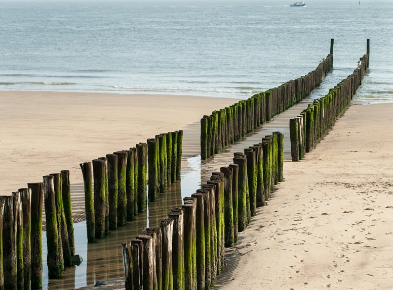 Bekijk live via de webcams de Zeeuwse stranden en geniet mee van achter je scherm van een stukje Zeeland