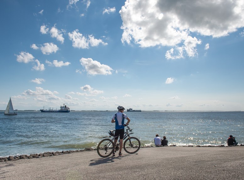 Zee mountainbike zon