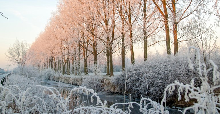 Wandelen in Zeeland, te voet genieten van de Zeeuwse natuur.
