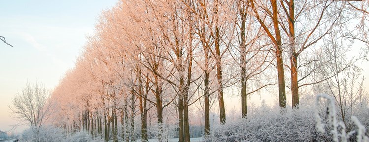 winter in Zeeland