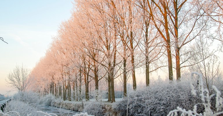 Winterwandelingen in Zeeland. Geniet tijdens de koude dagen van de prachtige natuur in Zeeland!