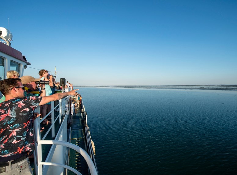 Rondvaarten in Zeeland