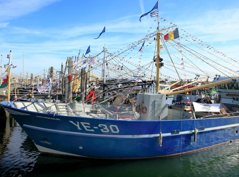 Boot in Yerseke