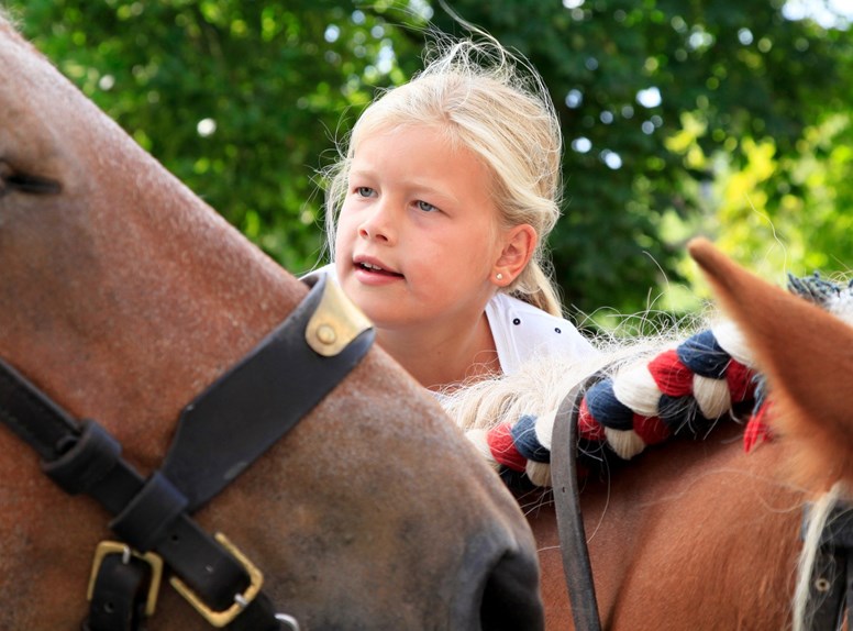 paarden meisje