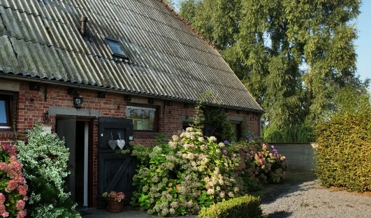 Vakantieboerderij in Eede
