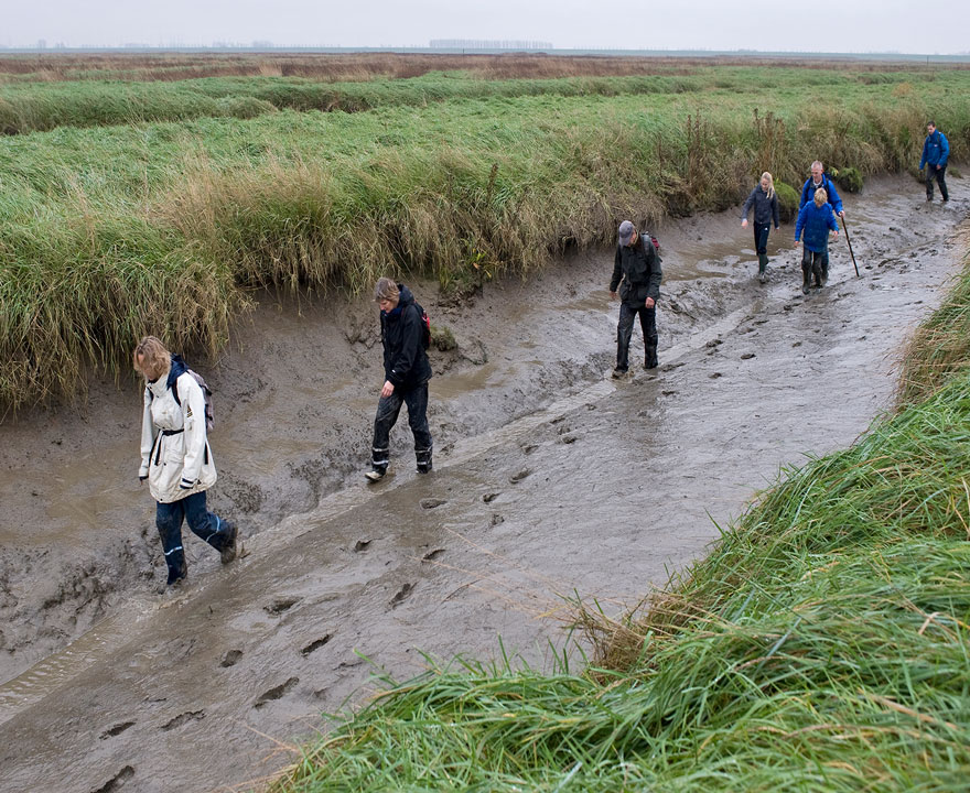 Ploegen door het verdronken land van Saeftinghe