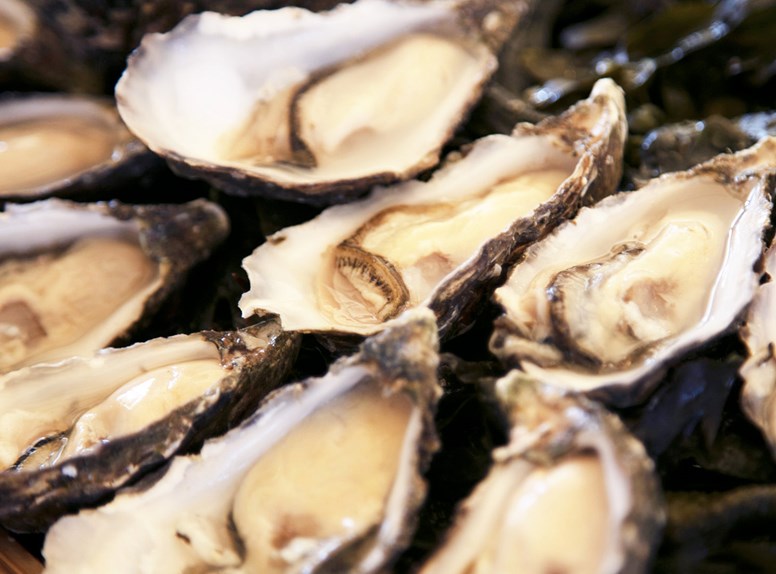 Oesters