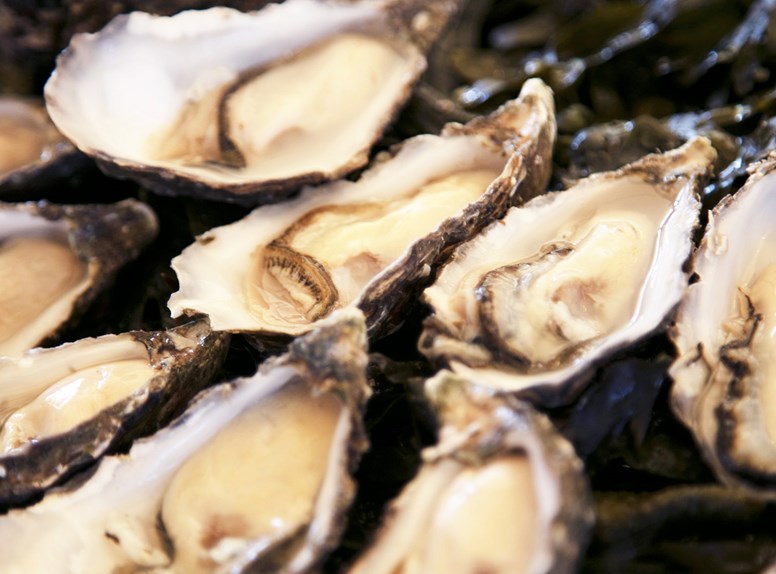 Heerlijke oesters uit de Oosterschelde. 