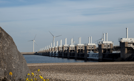 Oosterscheldekering bloemen