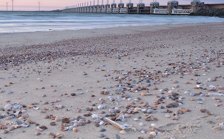 Oosterscheldekering tijdens zonsondergang met op de voorgrond strand met schelpen
