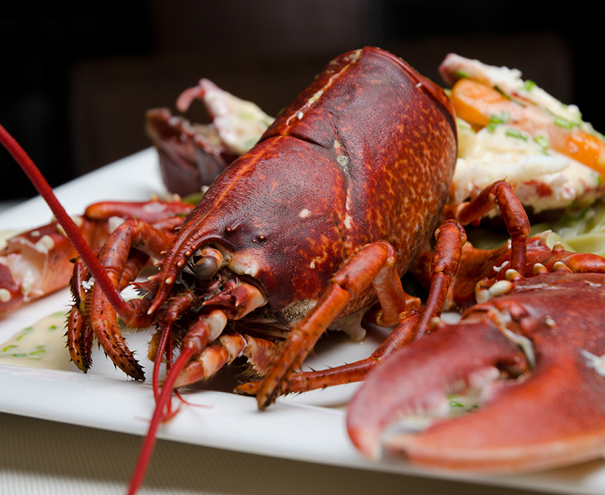 Lobster on a plate