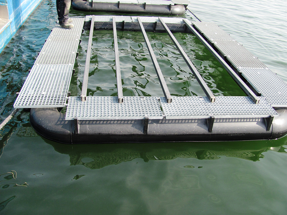 Zeewier kweken bij de zeewierderij