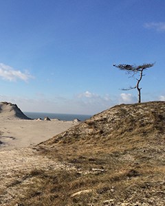Strand landschap in Schouwen-Duiveland