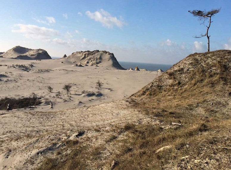 Natuur strand op Schouwen-Duiveland