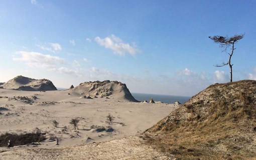 Natuur strand op Schouwen-Duiveland