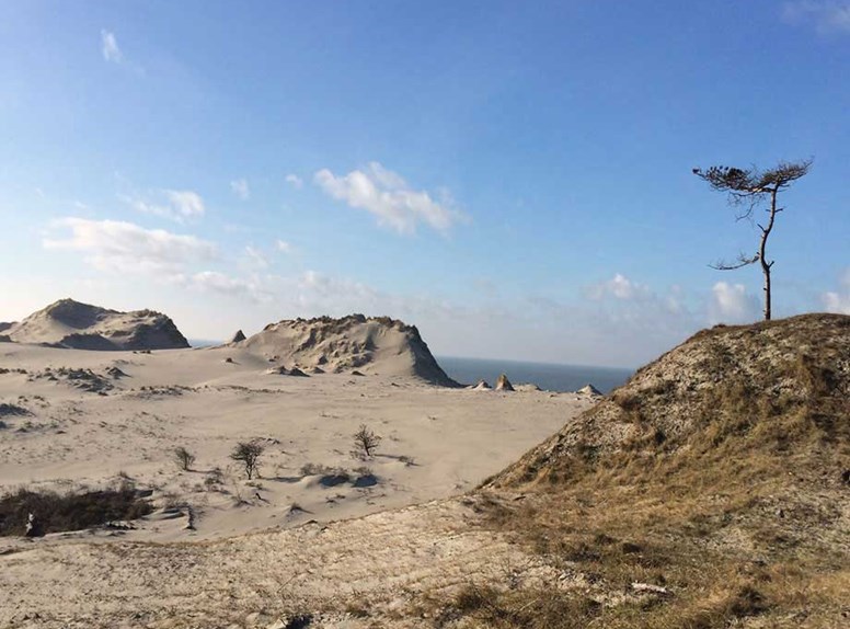 Natuur strand op Schouwen-Duiveland