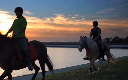 Paardrijden langs het water in gemeente Tholen