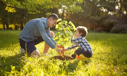 Vader en zoon planten samen een boompje