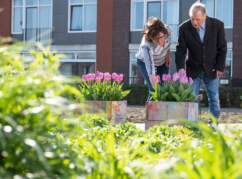 Samen tuinieren met ouderen bij Ter Weel