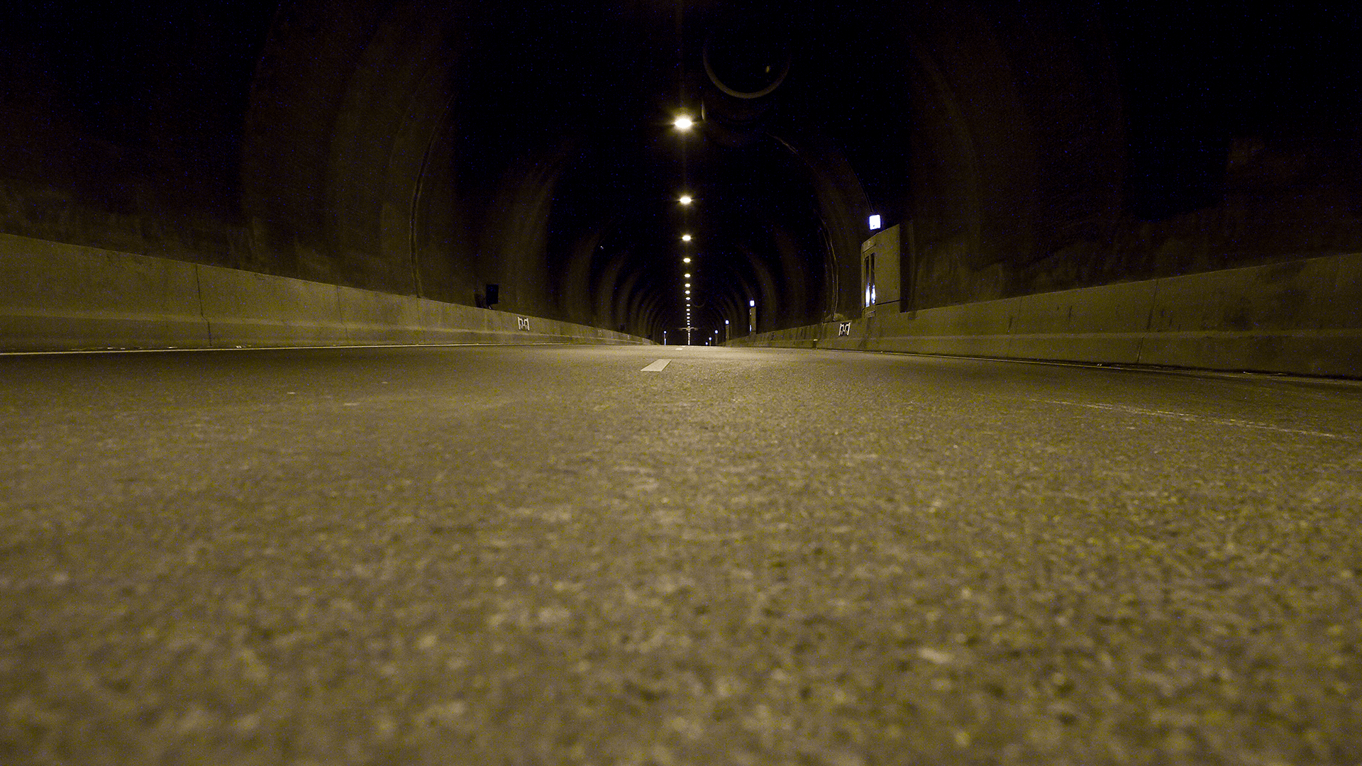 Westerscheldetunnel