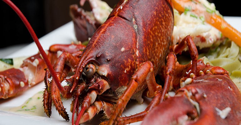 Geniet van alles wat er uit de zee komt, vers op je bord. In Zeeland kan je culinair genieten. Culinair en food in Zeeland.