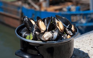 Een pan verse mosselen, zo uit de Oosterschelde gehaald.  In Zeeland kan je culinair genieten van alle producten uit de zee.