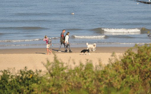 Hondvriendelijk strand Groede Bad