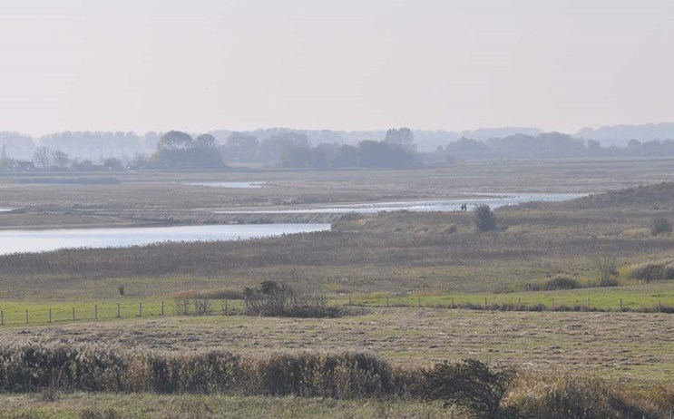 Landschap