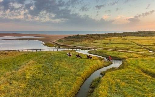 De Zeeuwse natuur ontdekken