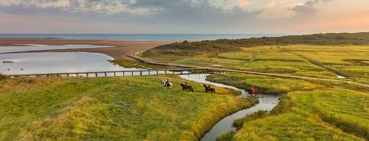 Verdronken Zwarte Polder Nieuwvliet