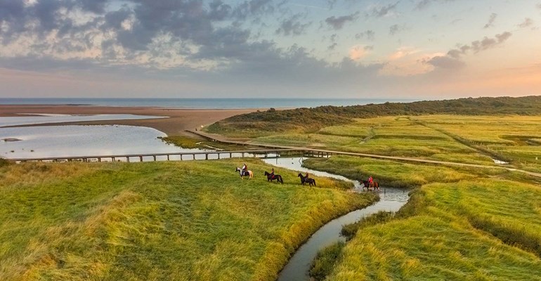 Genieten van de Zeeuwse natuur