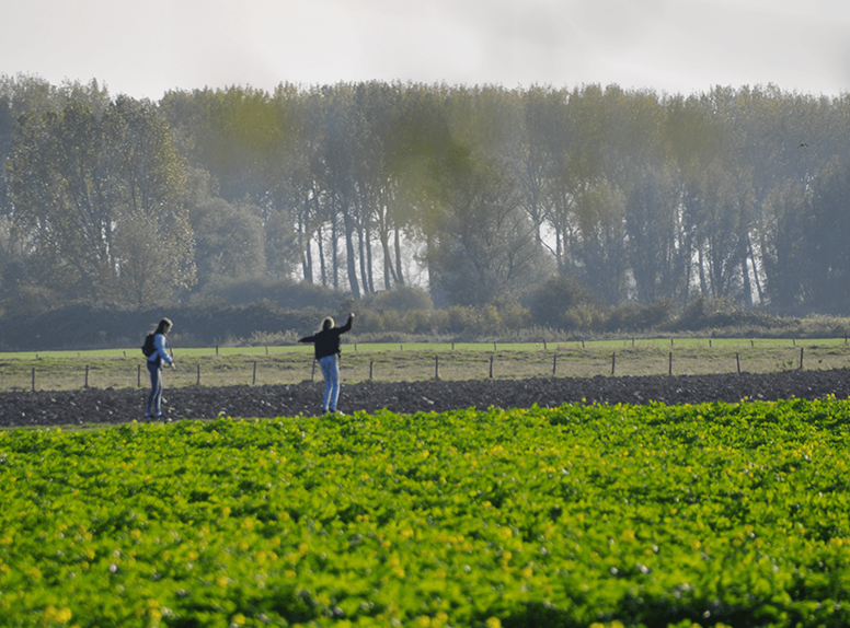 Kunstporject Polder Peil