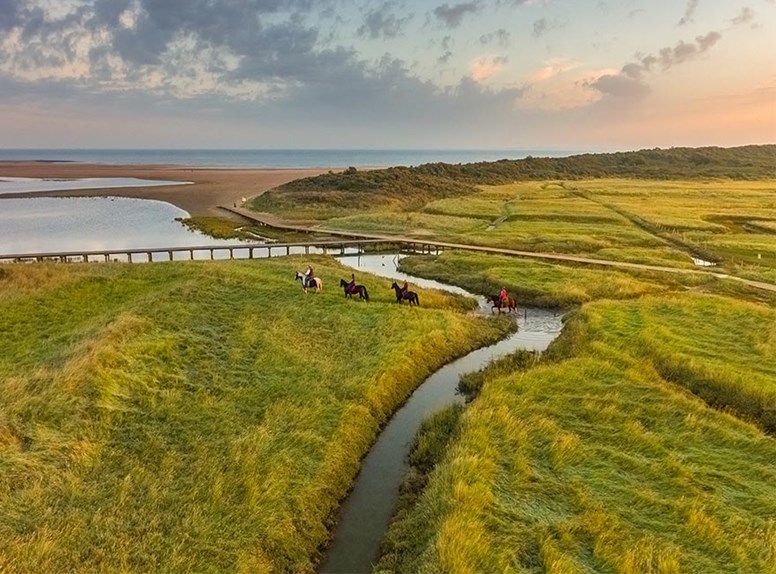 De Verdronken Zwarte polder is een prachtig natuurgebied die je moet zien tijdens je herfstwandeling.