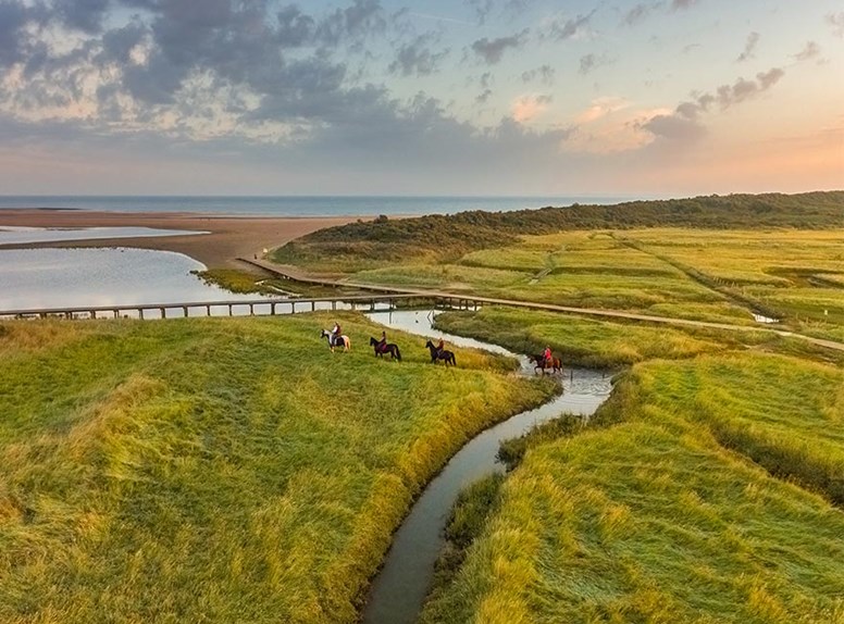 Verdronken zwarte polder is een prachtig natuurlandschap die je tijdens deze wandelroute tegenkomt