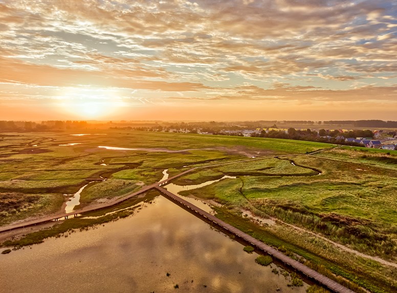 Zonsondergang in natuurgebied met op de achtergrond woningen in Zeeland