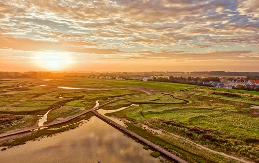 Zonsondergang in natuurgebied met op de achtergrond woningen in Zeeland