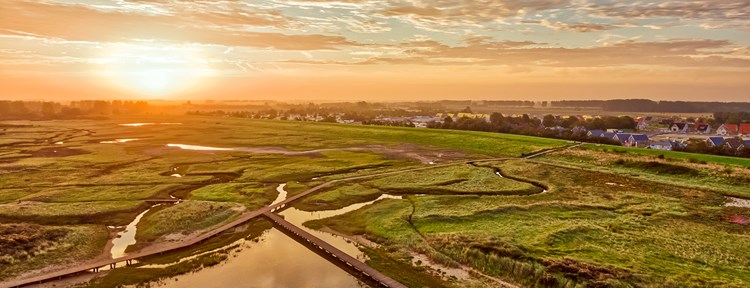 Zonsondergang in natuurgebied met op de achtergrond woningen in Zeeland
