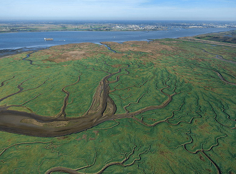 Het Verdronken Land van Saeftinghe