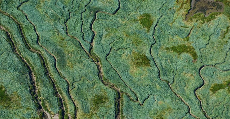 So schmeckt Zeeuws-Vlaanderen