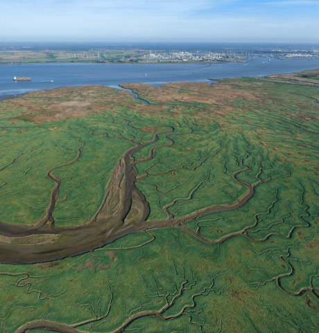 Luchtfoto het Land van Saeftinghe