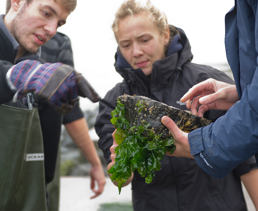Studenten krijgen les bij de Oosterschelde
