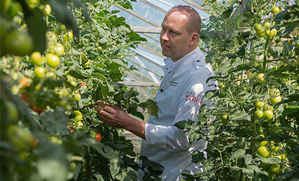 Ondernemen in Zeeland in de food sector in kassen