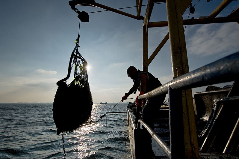 Luchtfoto docks North Sea Port - ontdek welke vacatures Zeeland hier te bieden heeft
