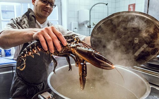 Culinair gerecht opdienen in sterrenrestaurant De Kromme Watergang