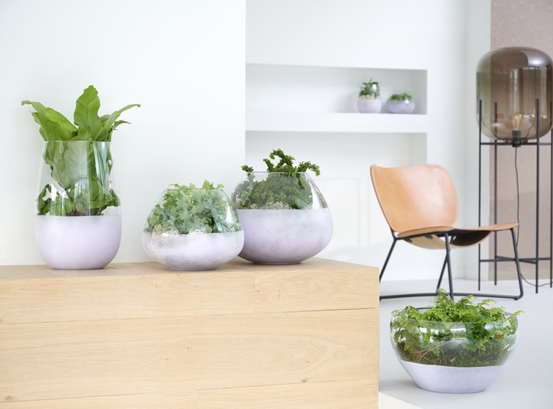 vitro plus varens interieur